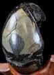 Septarian Dragon Egg Geode - Black Calcite Crystals #33986-2